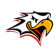 Vaasan Sport Logo PNG Vector