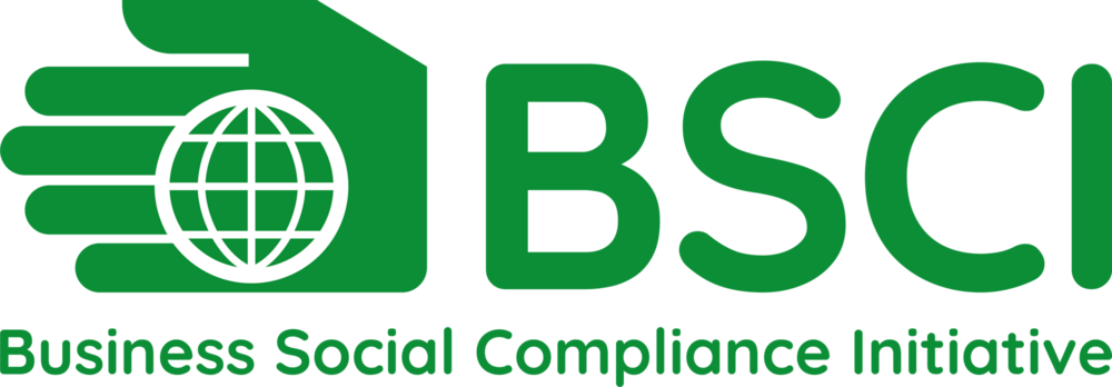 BSCI Logo PNG Vector