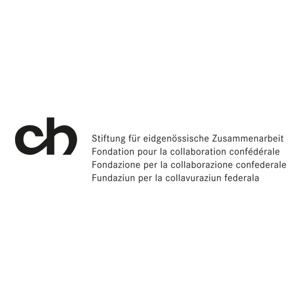 CH Stiftung Logo PNG Vector