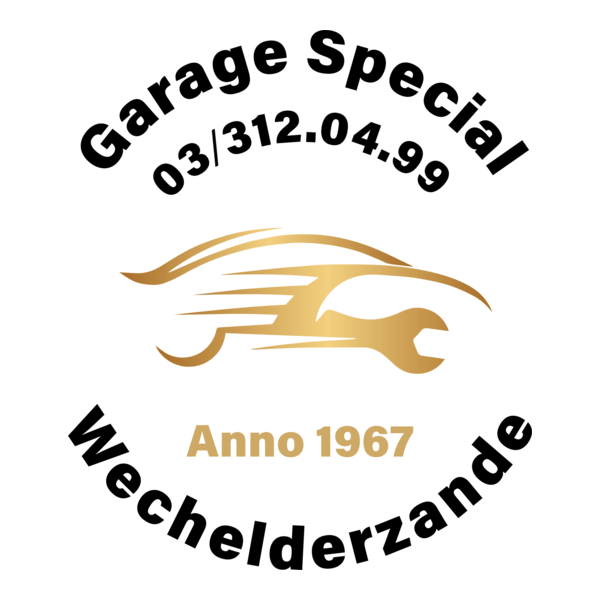 Garage Special Logo PNG Vector
