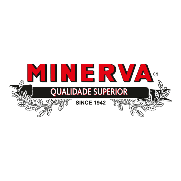 Minerva Logo PNG Vector