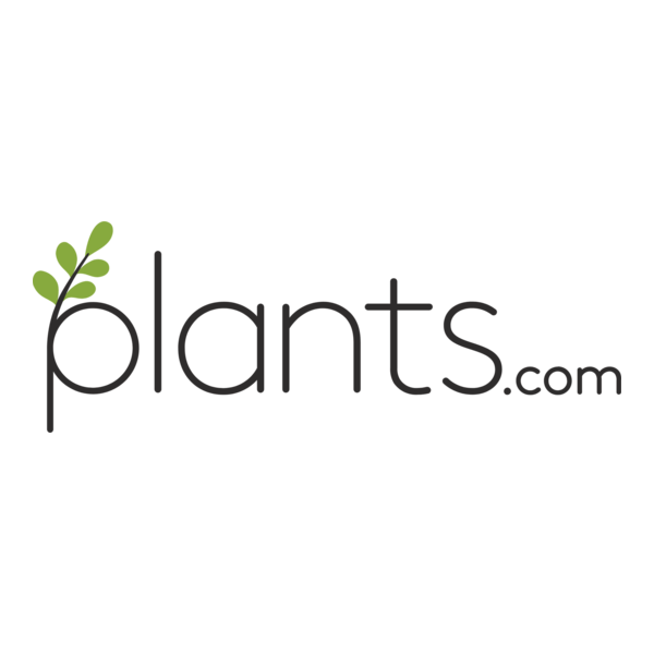 Plants Logo PNG Vector