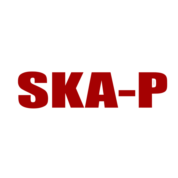 Ska-P Logo PNG Vector
