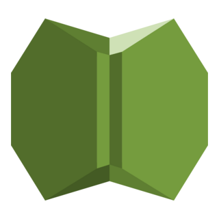 Aws Shield Advance Logo PNG Vector