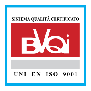 BVQI Logo PNG Vector