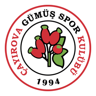Çayırova Gümüşspor Logo PNG Vector