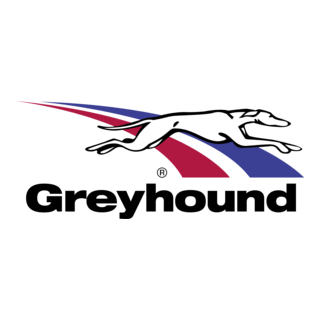 Greyhound Logo PNG Vector