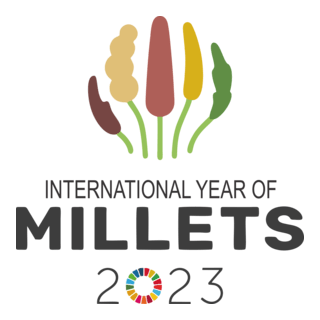 INTERNATIONAL DAY OF MILLETS Logo PNG Vector