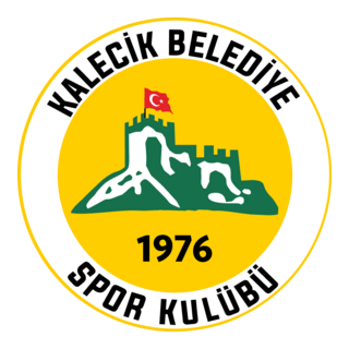 Kalecikspor Logo PNG Vector