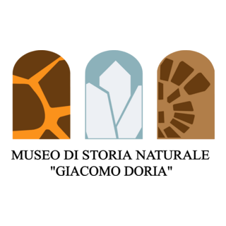 Museo di Storia Naturale Giacomo Doria Logo PNG Vector