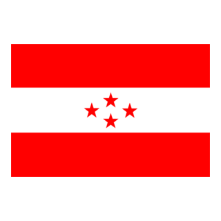 Nepali Congress Flag Logo PNG Vector