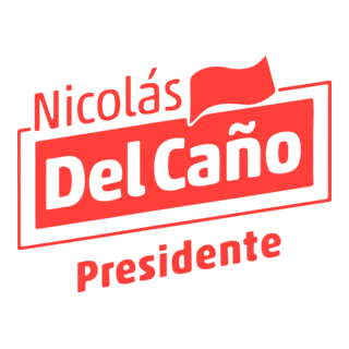 Nicolas del Cano Logo PNG Vector