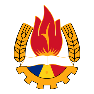 Pioneer Organization Romania Logo PNG Vector