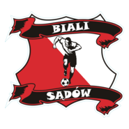 Biali Sądów Logo PNG Vector