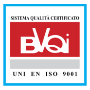 BVQI Logo PNG Vector