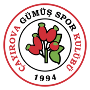 Çayırova Gümüşspor Logo PNG Vector