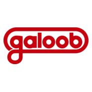 Galoob Logo PNG Vector
