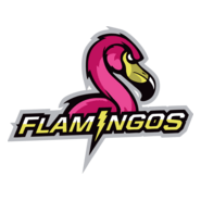 Miami Flamingos Logo PNG Vector