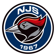NJS Logo PNG Vector