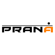 Prana Animation Studios Logo PNG Vector