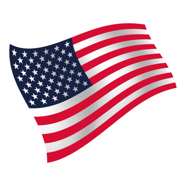 American Flag Logo PNG Vector