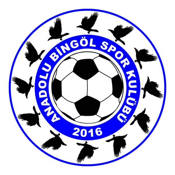 Anadolu Bingölspor Logo PNG Vector