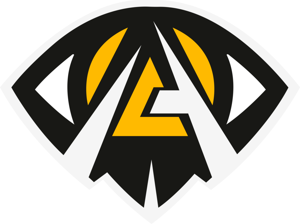 Anonymo Esports Logo PNG Vector