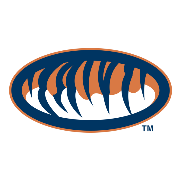 Auburn Tigers Logo PNG Vector