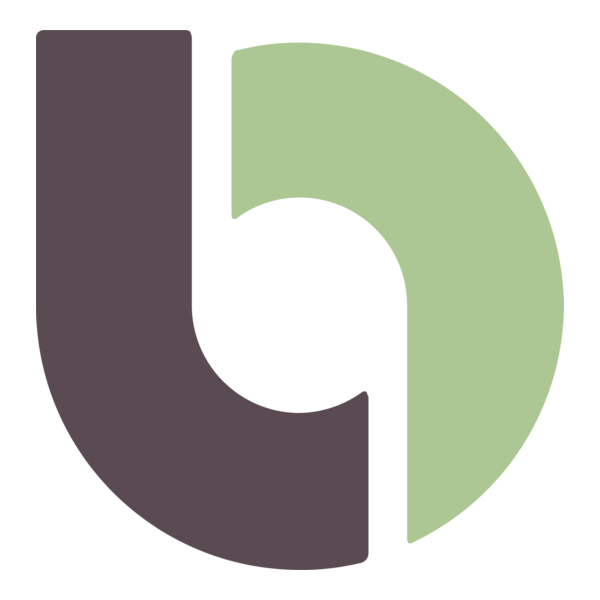 Bitso Logo PNG Vector