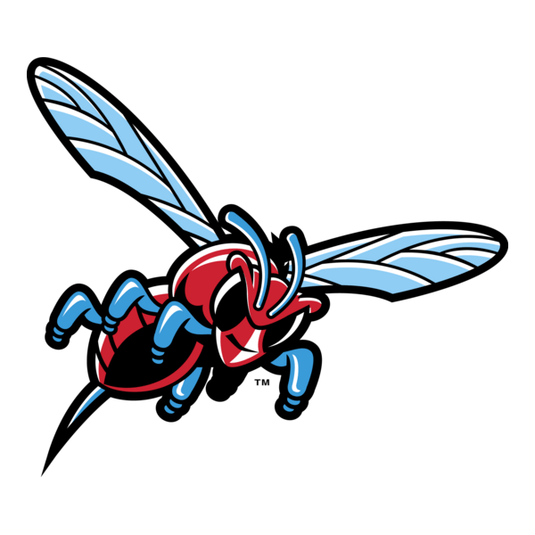 Delaware State Hornets Logo PNG Vector