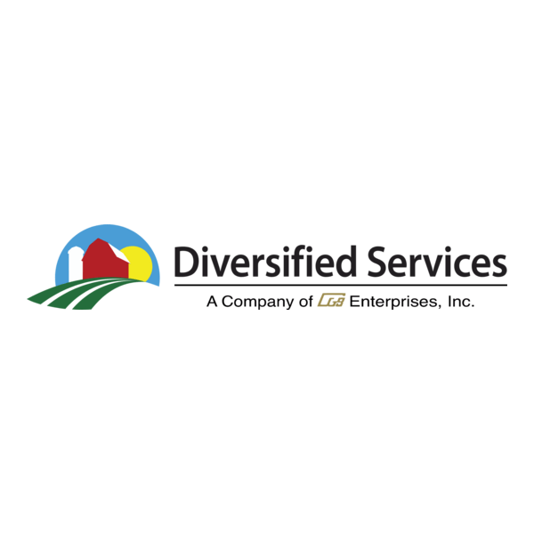 Diversified Services Logo PNG Vector