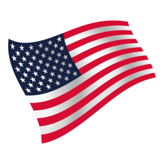 American Flag Logo PNG Vector