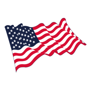 American Flag Logo PNG Vector