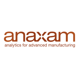 ANAXAM Logo PNG Vector