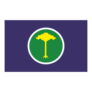 Bandeira de São Carlos-SP Logo PNG Vector