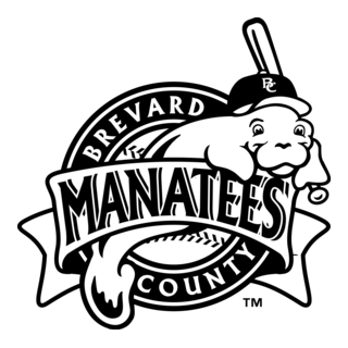 Brevard County Manatees Logo PNG Vector