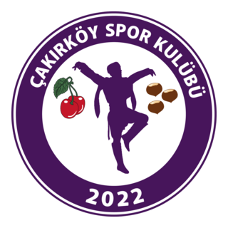 Çakırköyspor Logo PNG Vector