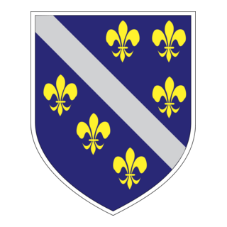 Coat of arms of Bosnia and Herzegovina Logo PNG Vector