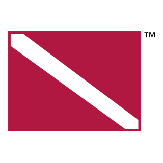 Diver Flag Logo PNG Vector