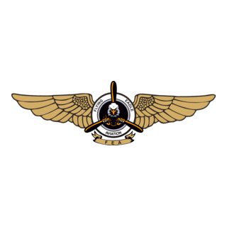 Flying Eagle Aviation Logo PNG Vector