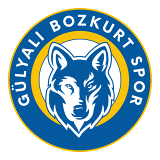 Gülyalı Bozkurt Spor Logo PNG Vector