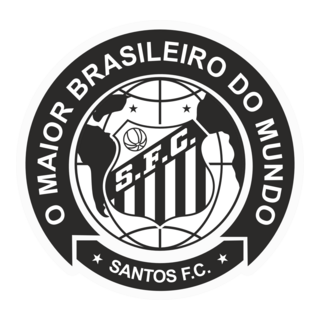 Patchdo Santos FC - Brasil Logo PNG Vector