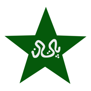 PCB STAR Logo PNG Vector