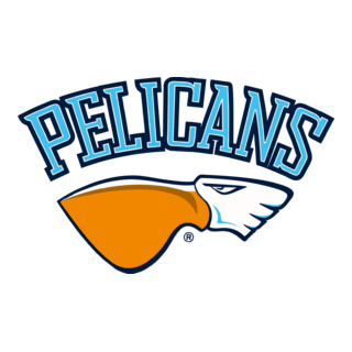 Pelicans Logo PNG Vector