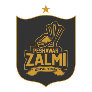 peshawar zalmi Logo PNG Vector