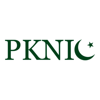 PKNIC Logo PNG Vector