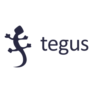 Tegus Logo PNG Vector