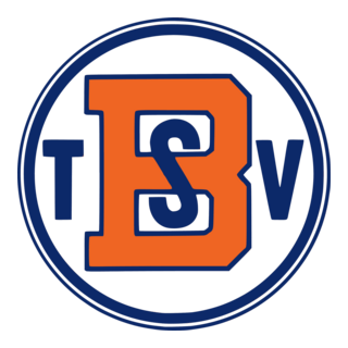 TSV Birkenau Logo PNG Vector