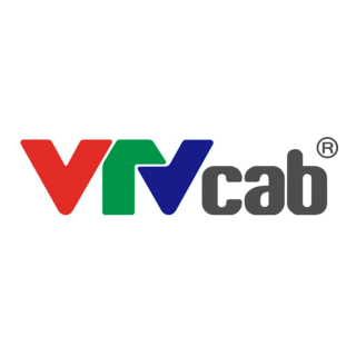 VTVcab Logo PNG Vector