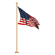 American Flag Logo PNG Vector